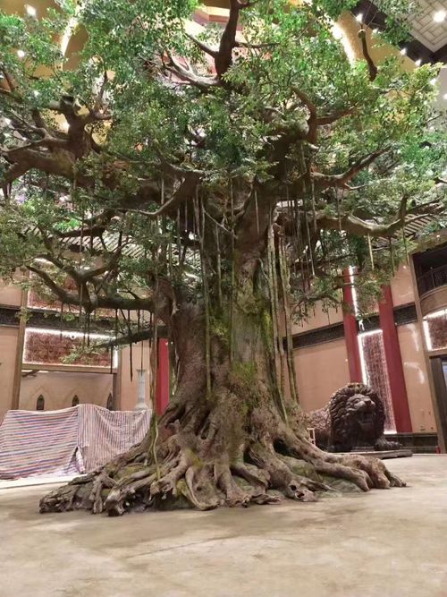 水泥假樹設(shè)計(jì)廠家